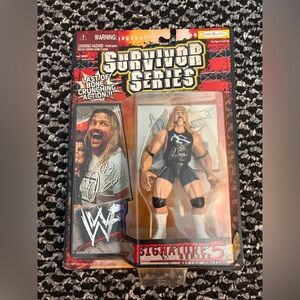 1999 Al Snow WWF Survivor Series Signature Series 5 Action Figure Jakks Pacific